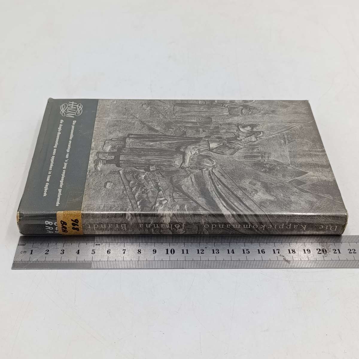 Die Koppiekommando of Boerevroue in geheime diens deur Johanna Brandt