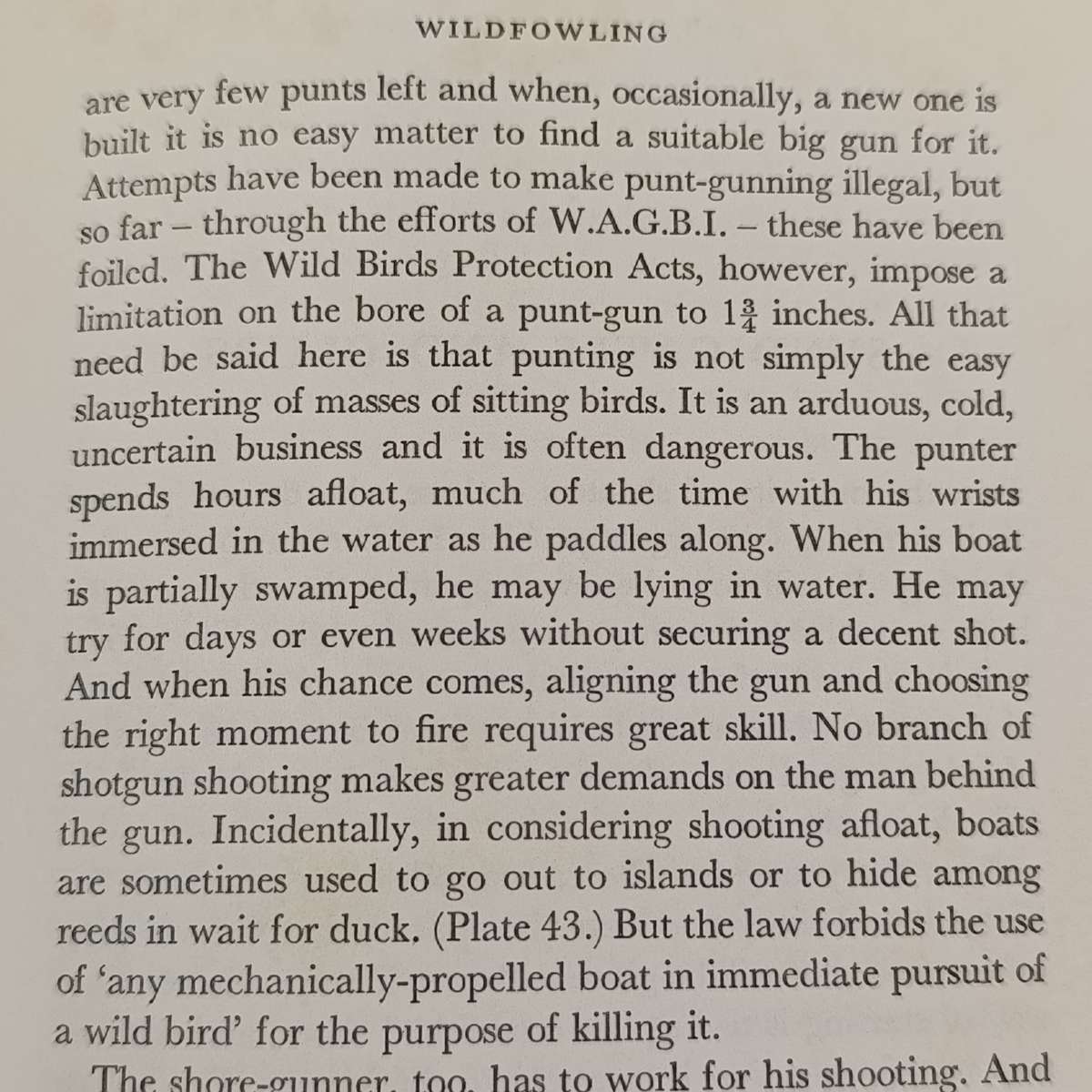 Shotgun and shooter - Carlisle & Stanbury 1970 first edition