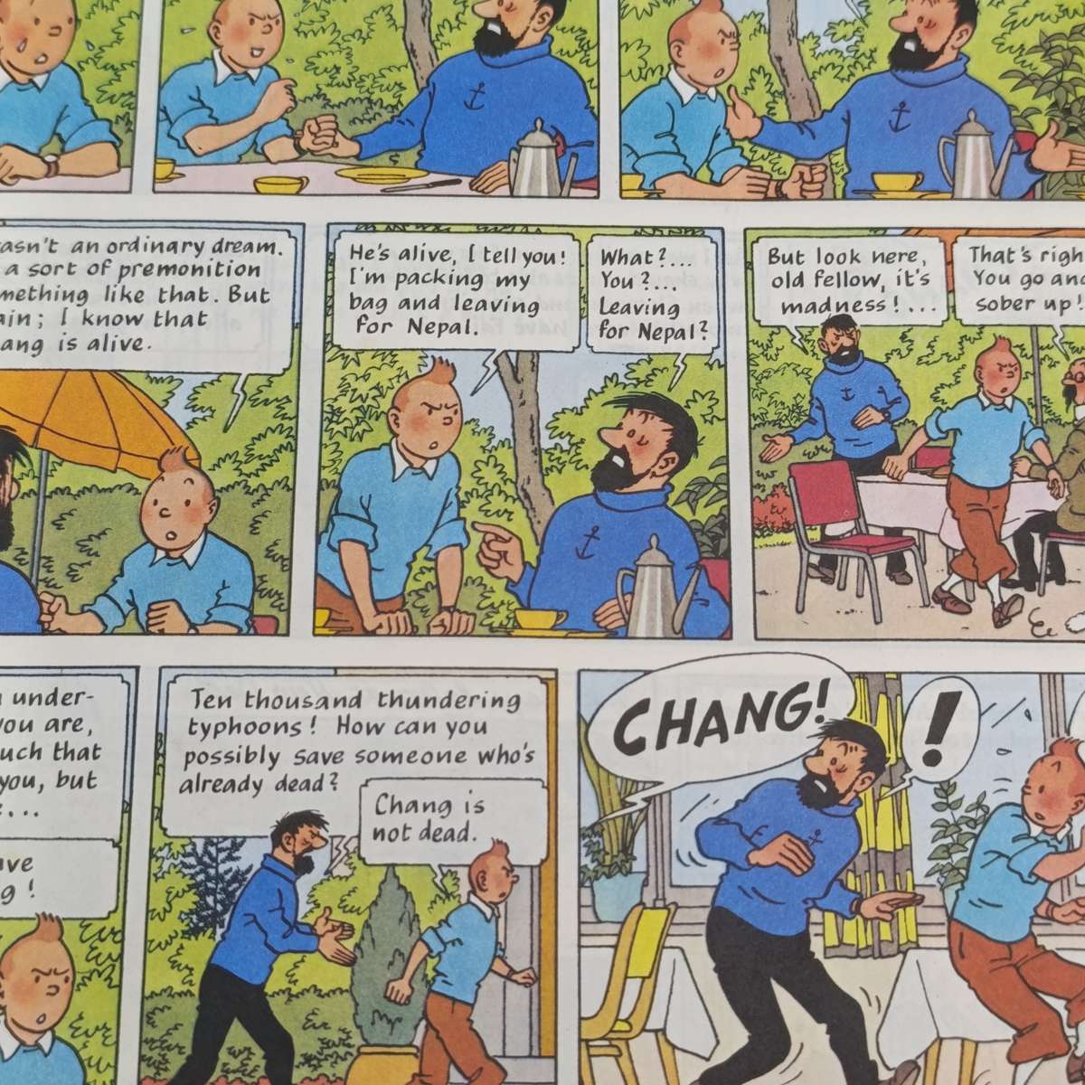 The adventures of Tin-Tin in Tibet