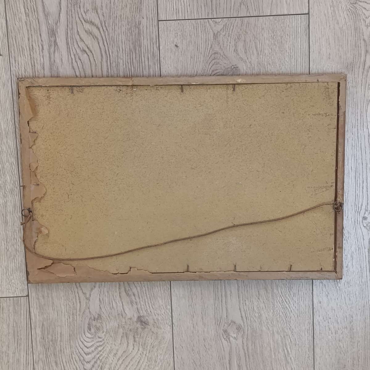 1926 University of Cape Town university house class photo