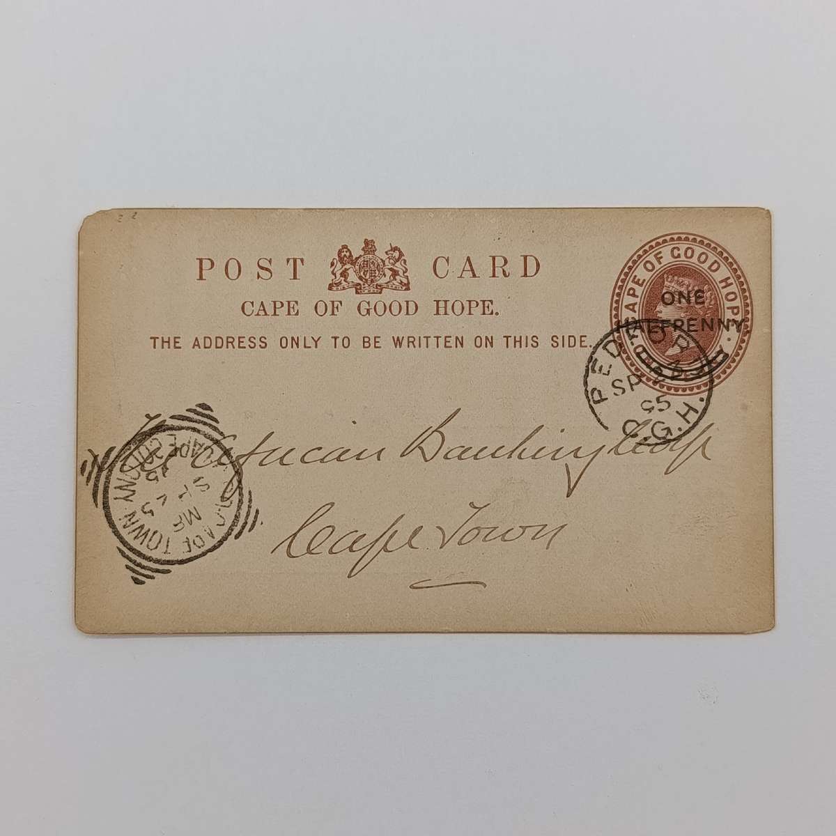 1895 Postcard sent from Bedford (Cape of Good Hope) to Cape Town