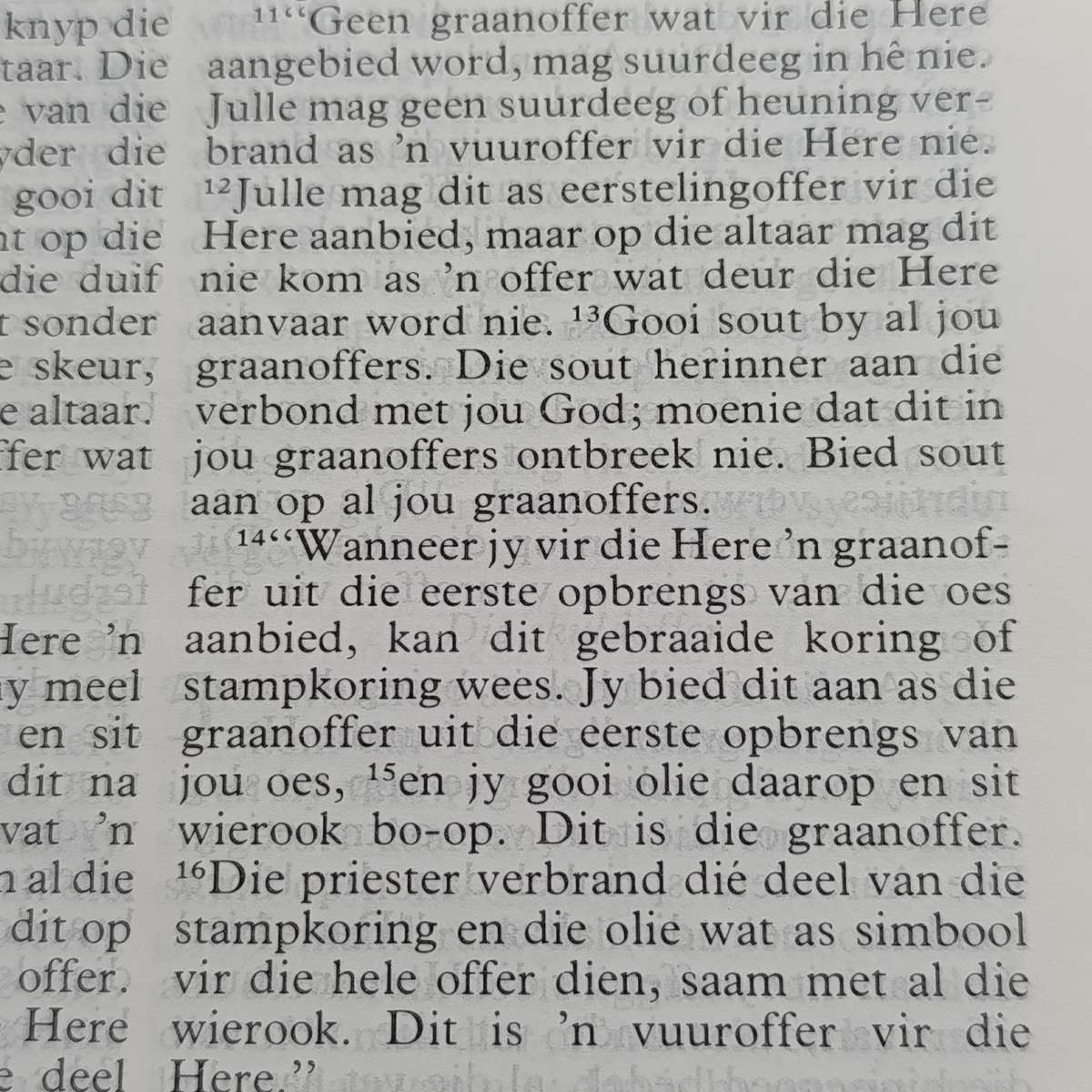 Die Bybel in Afrikaans - AFR83 - brown bison leather cover in box