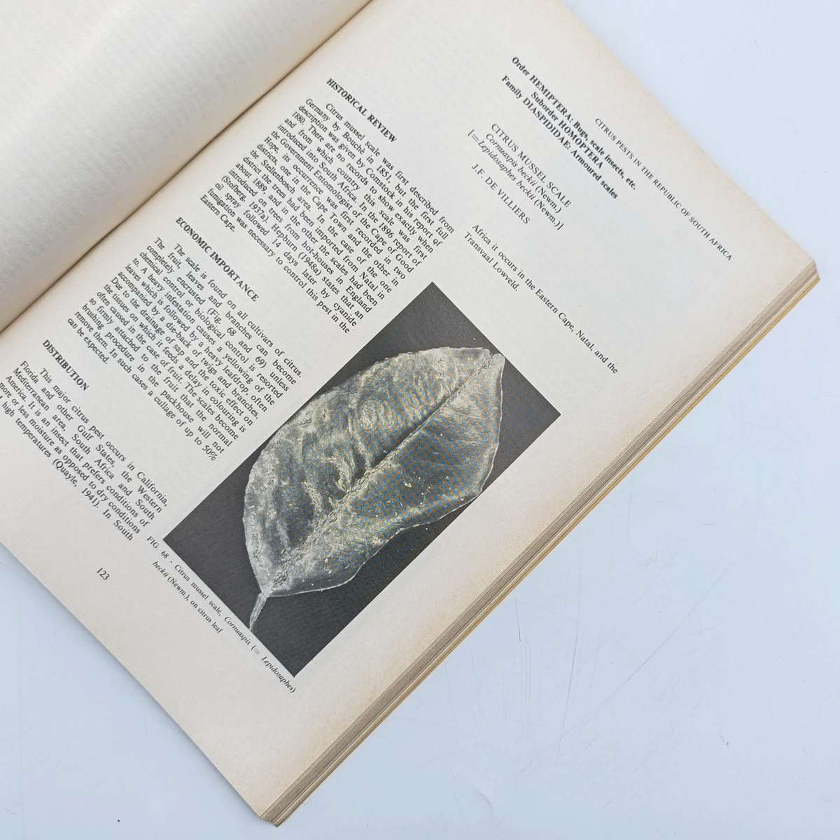 South Africa Science Bulletin 391 Citrus pests in South Africa - 1978