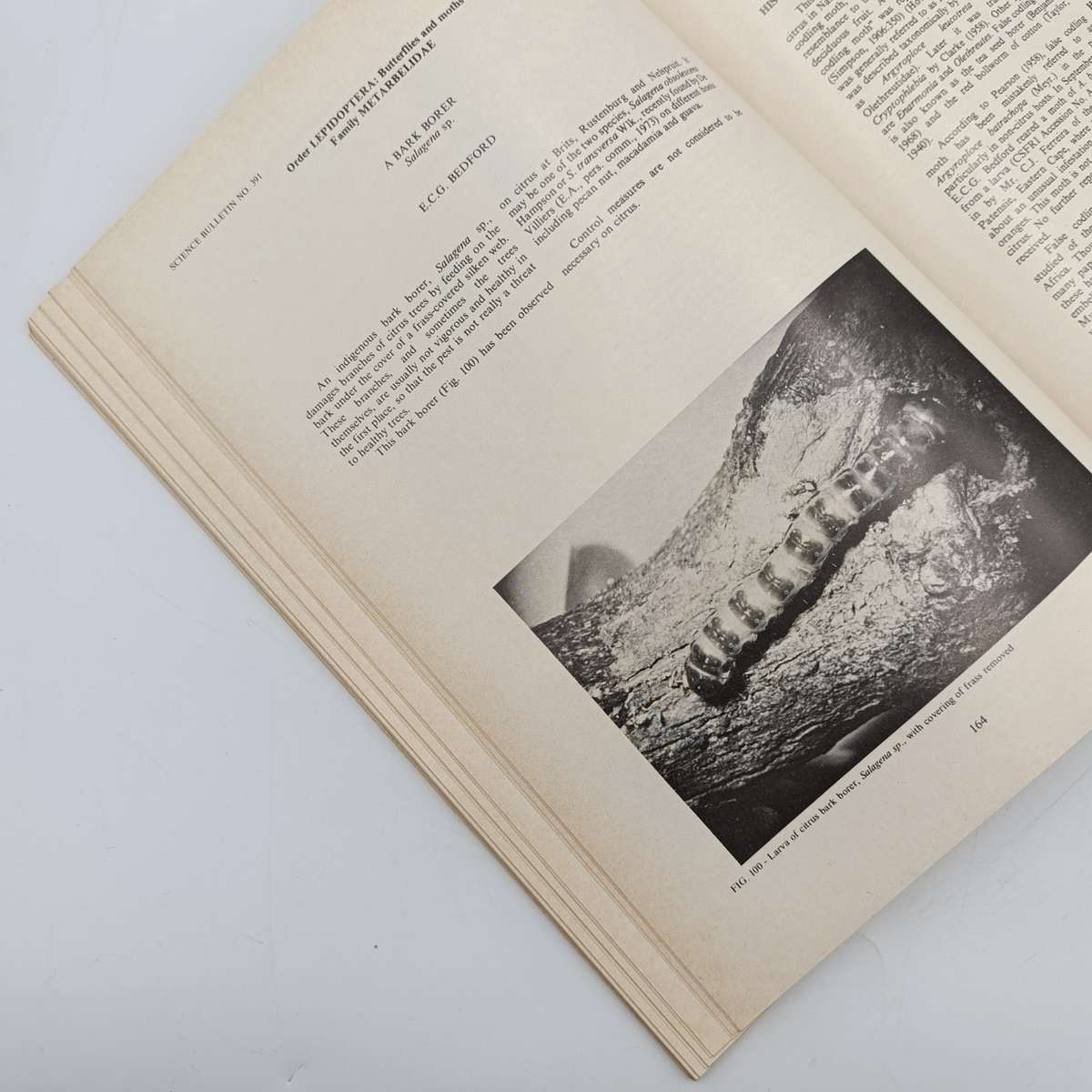 South Africa Science Bulletin 391 Citrus pests in South Africa - 1978