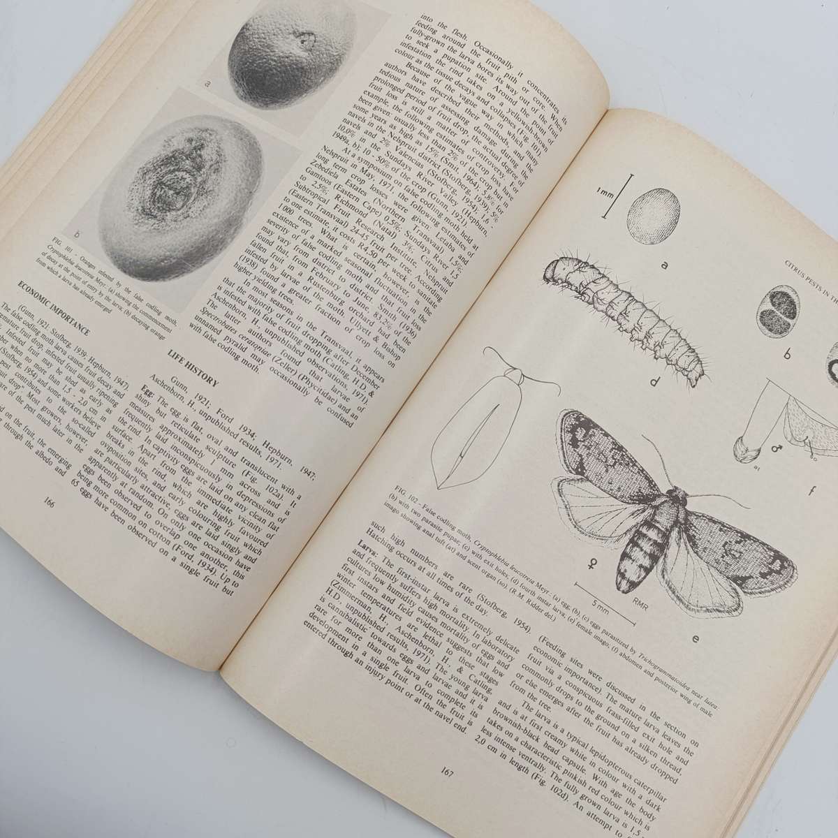 South Africa Science Bulletin 391 Citrus pests in South Africa - 1978