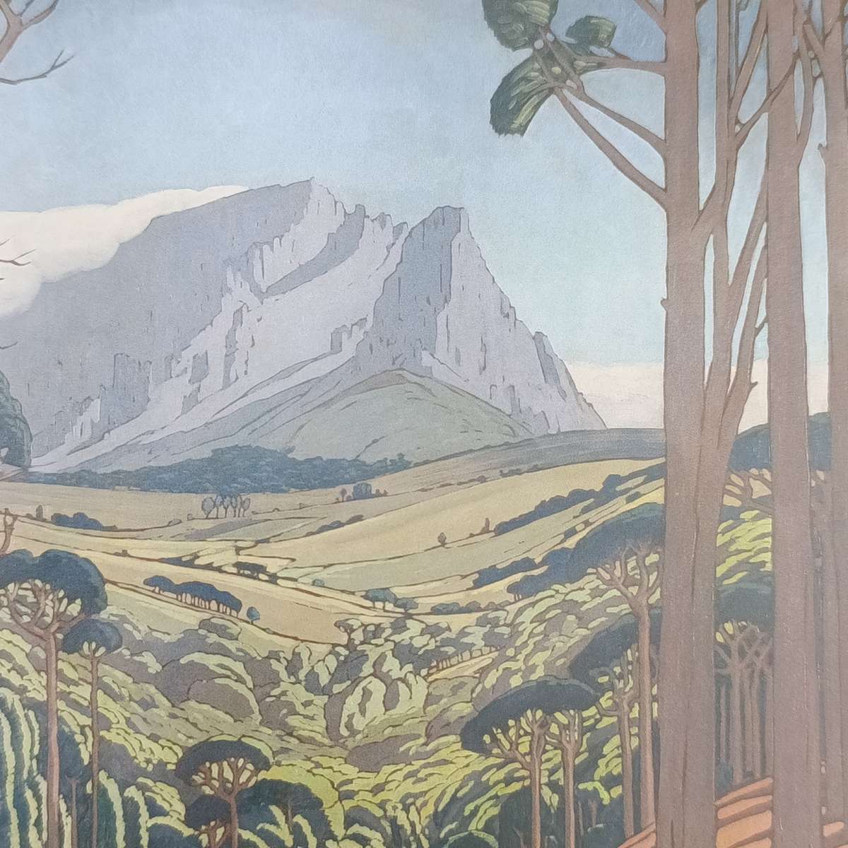 Pierneef 1886-1957 book