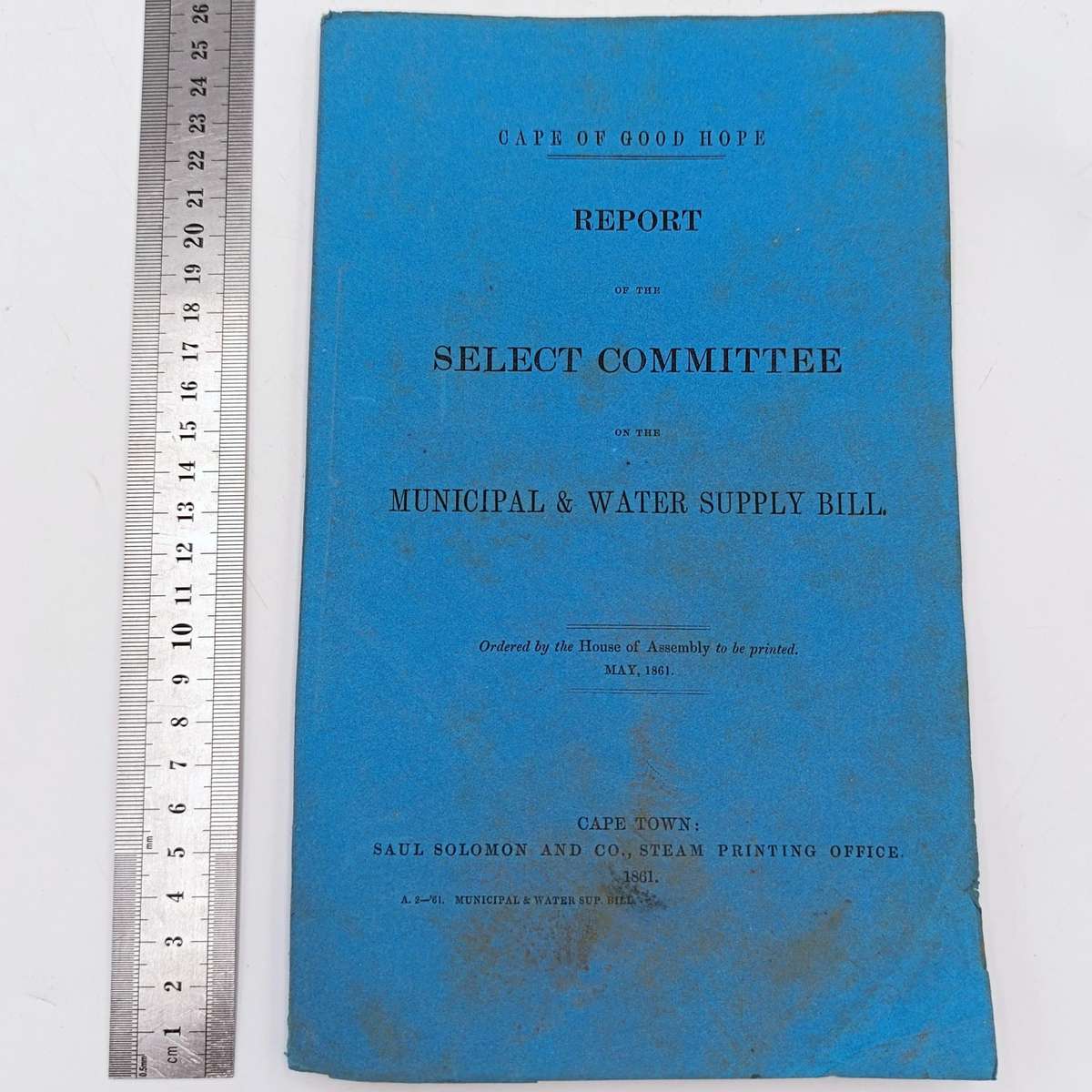 Cape of Good Hope 1861 Report of the Select committee on the Municipal and Water supply Bill