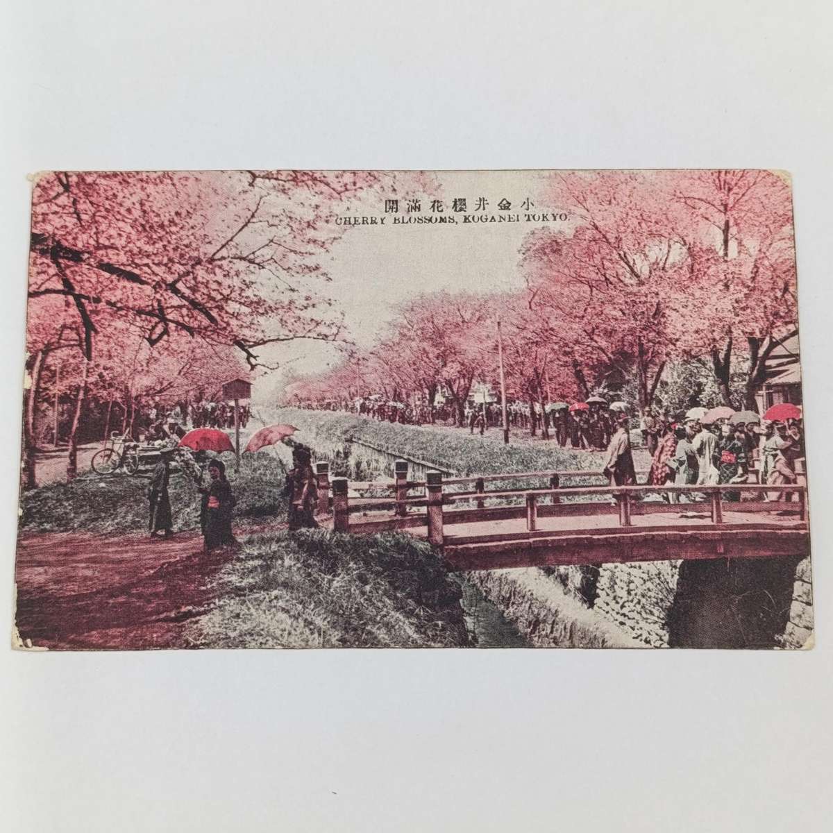 1926 Postcard Yokohama, Japan to Greenpoint, South Africa with 3x2d stamps Cherry Blossom card