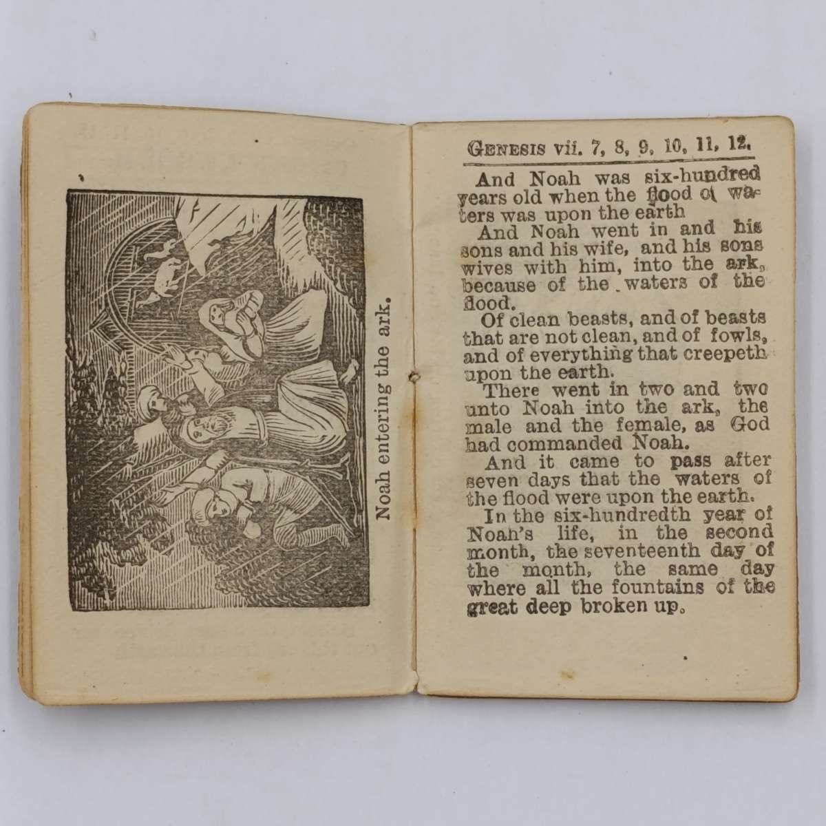 Lot of 4 miniature Bible books