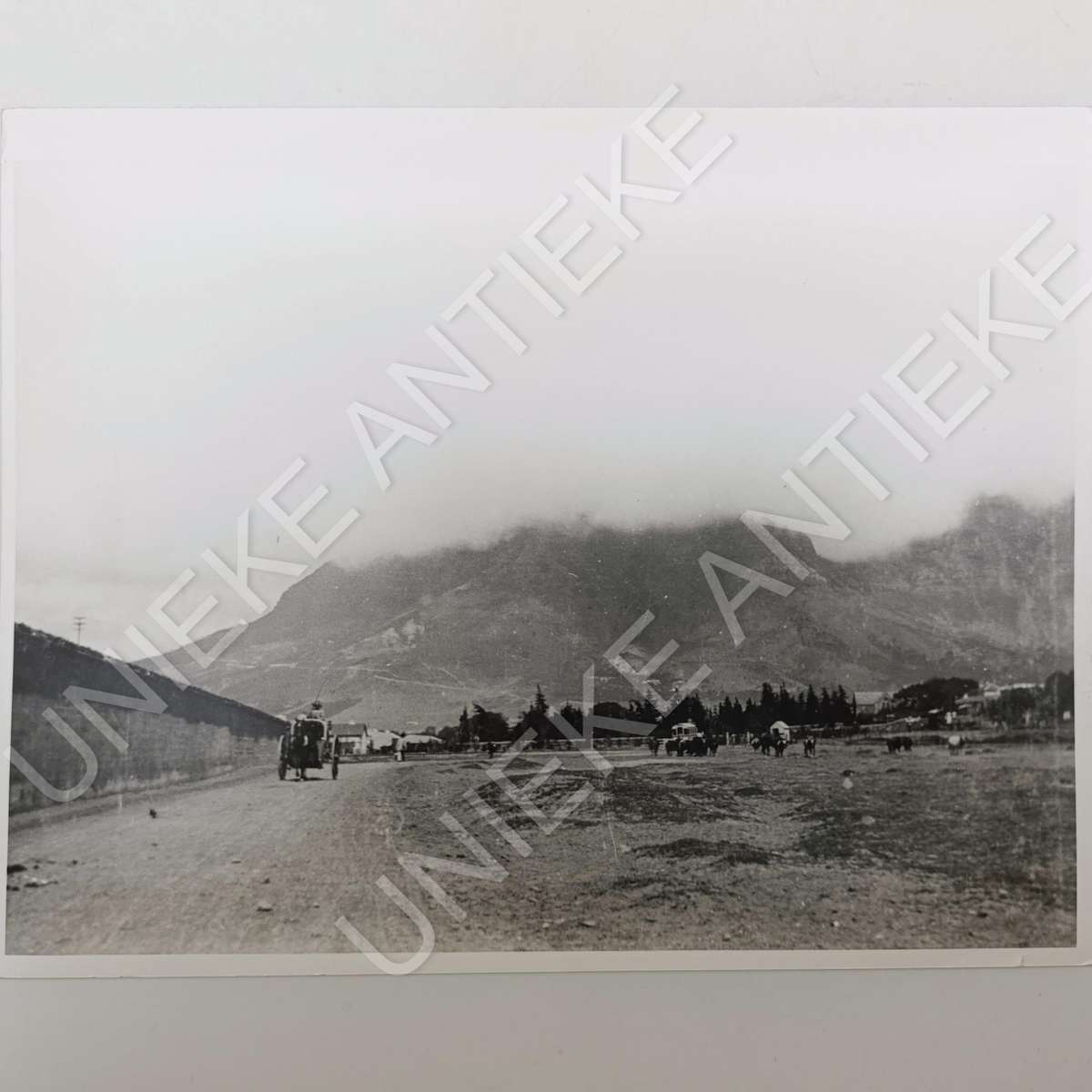 Antique photo reprint of horse cart next to Castle of Good Hope wall with Devils Peak in back