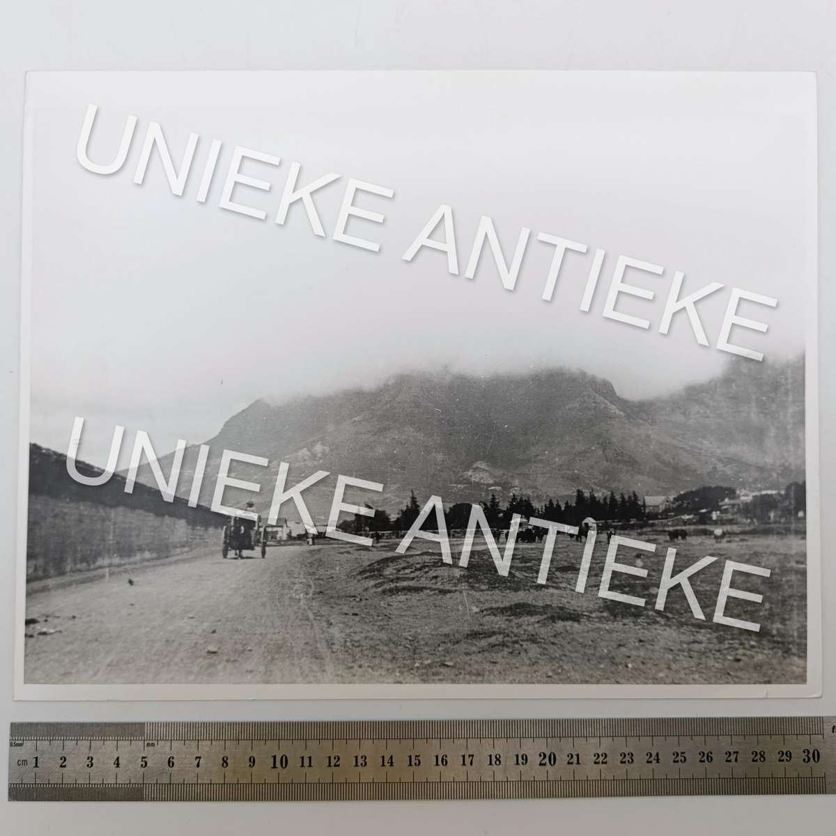 Antique photo reprint of horse cart next to Castle of Good Hope wall with Devils Peak in back