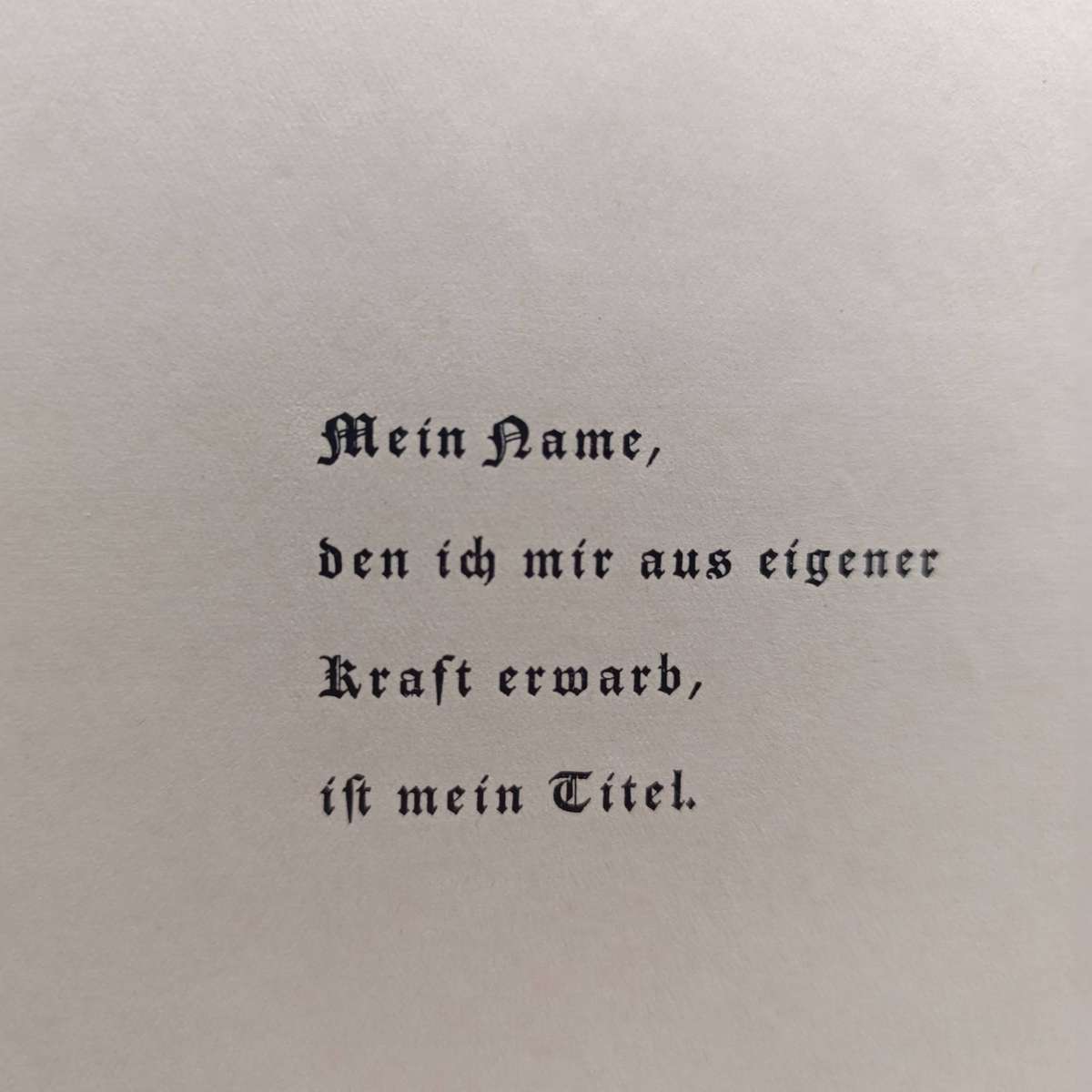 Deutschland Erwacht - The rise, struggle and victory of the NSDAP - complete album with all photos