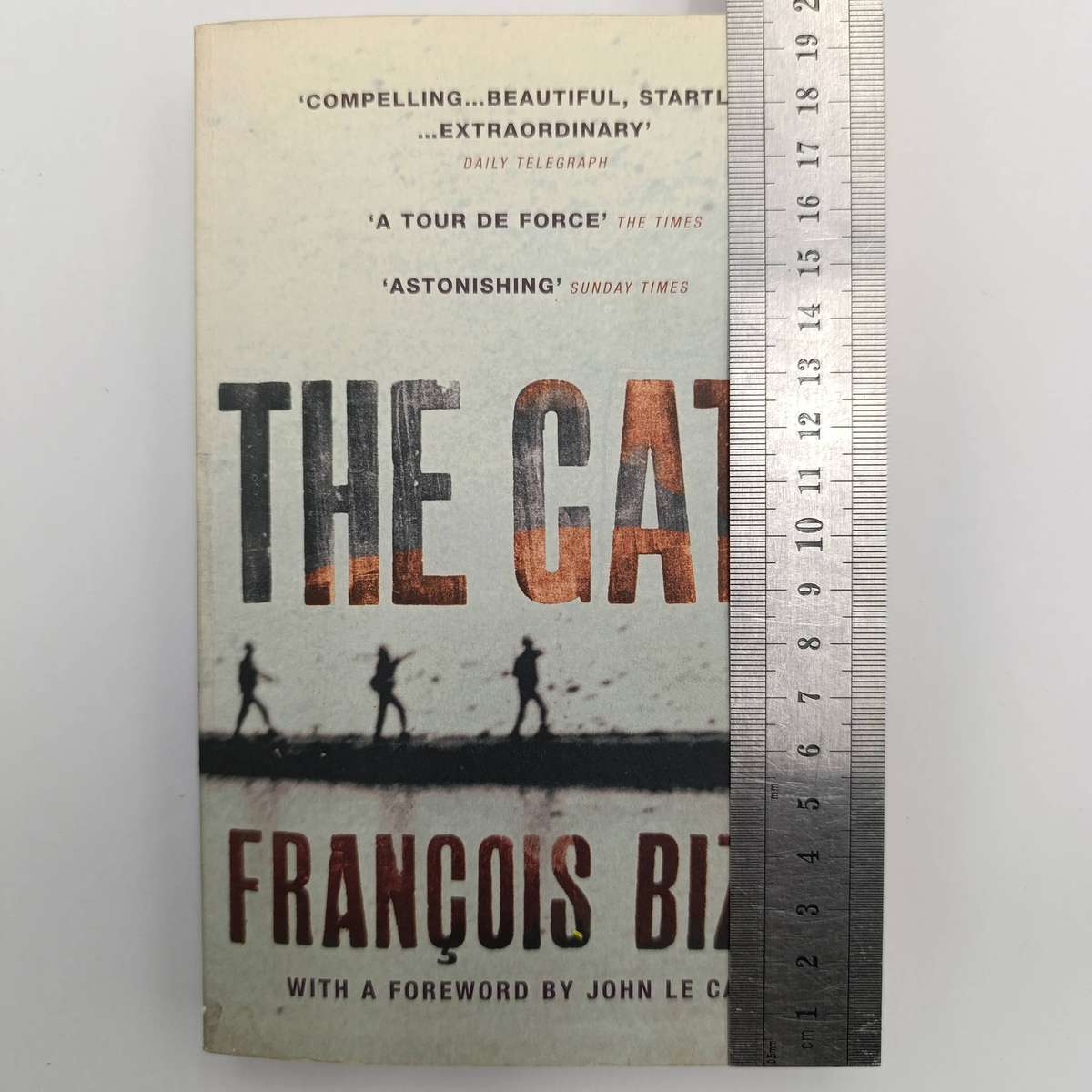 The Gate by Francois Bizot