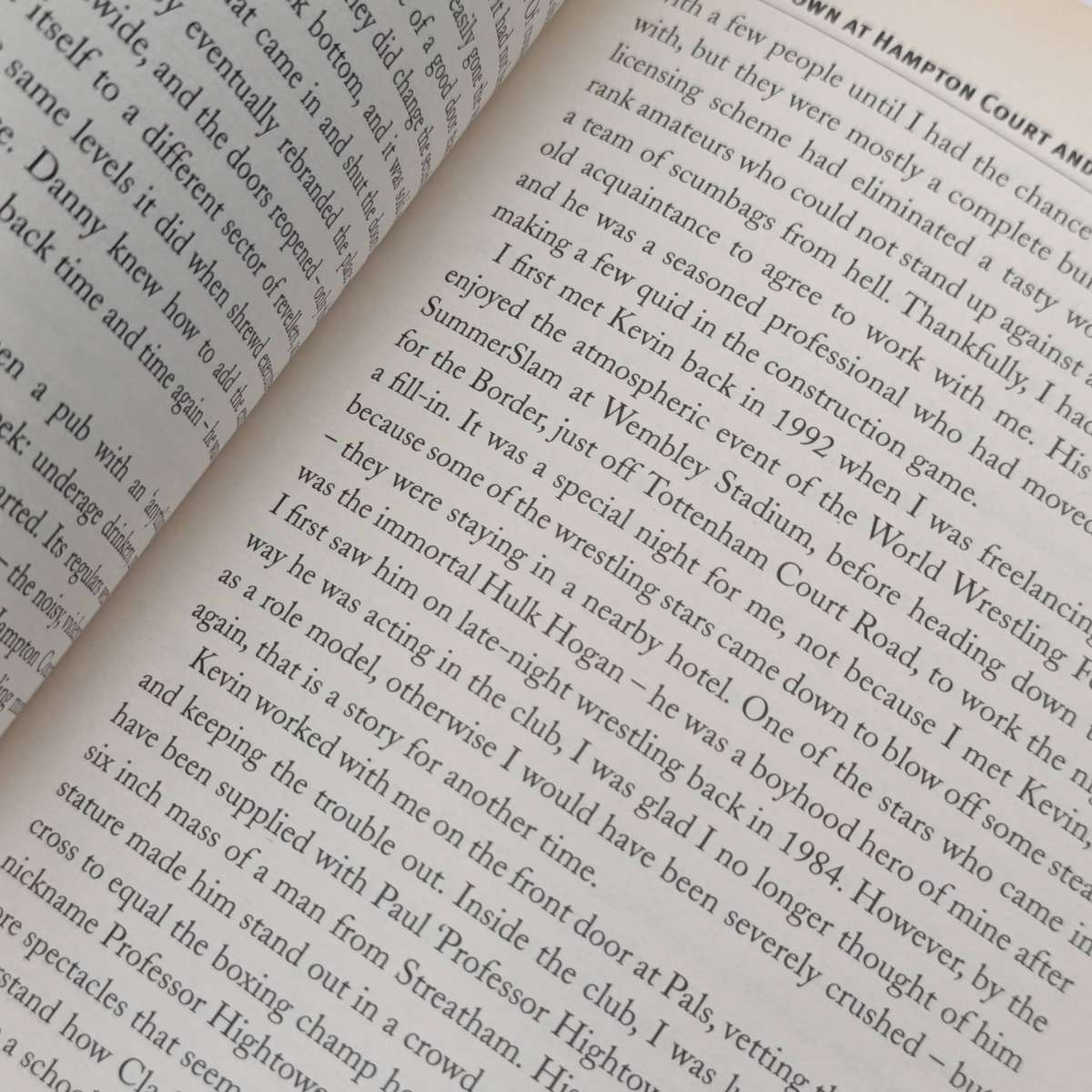 Bouncers and Bodyguards by Robin Barratt - Tales from a Twilight world