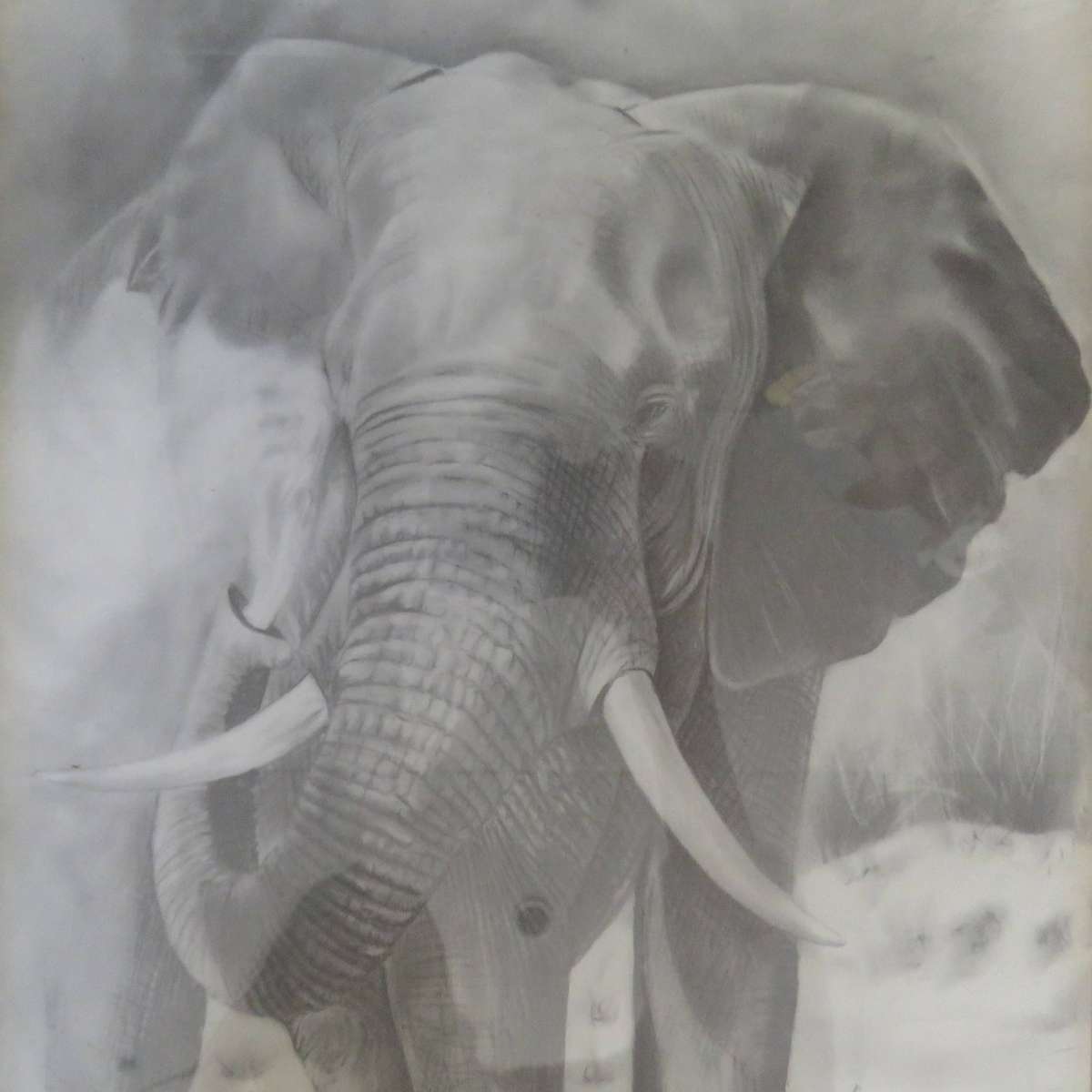 Beautiful Elephant print in frame by Samuel Tafula