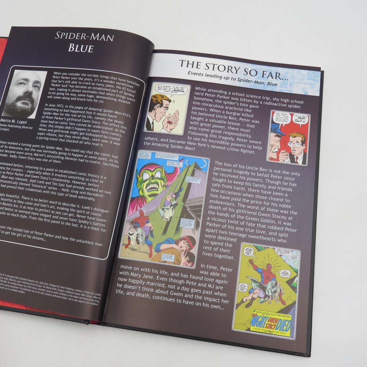 Marvel #65 Spider-Man Blue graphic novel