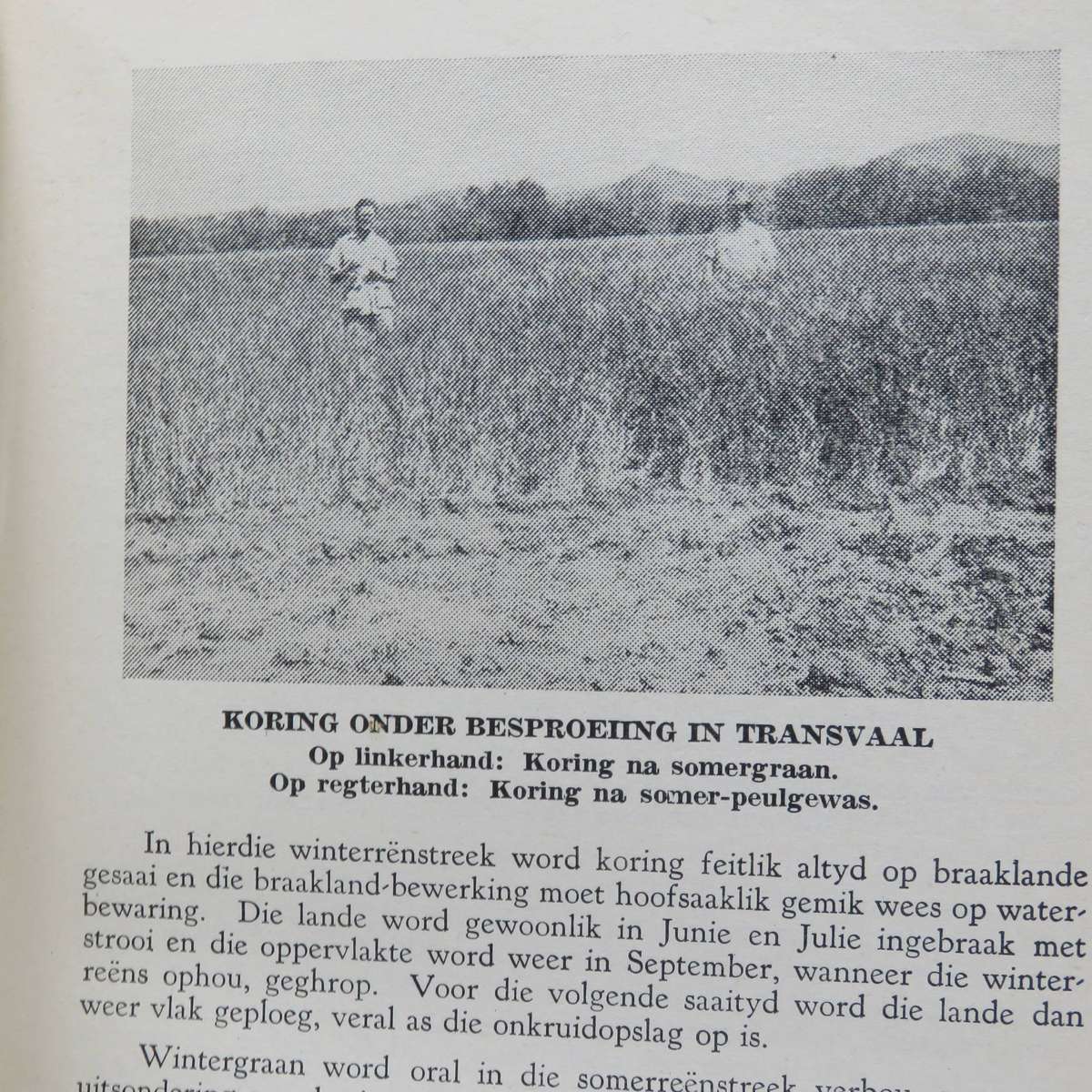 Boerdery-Jaarboek deur MS du Buson - 1952 edition