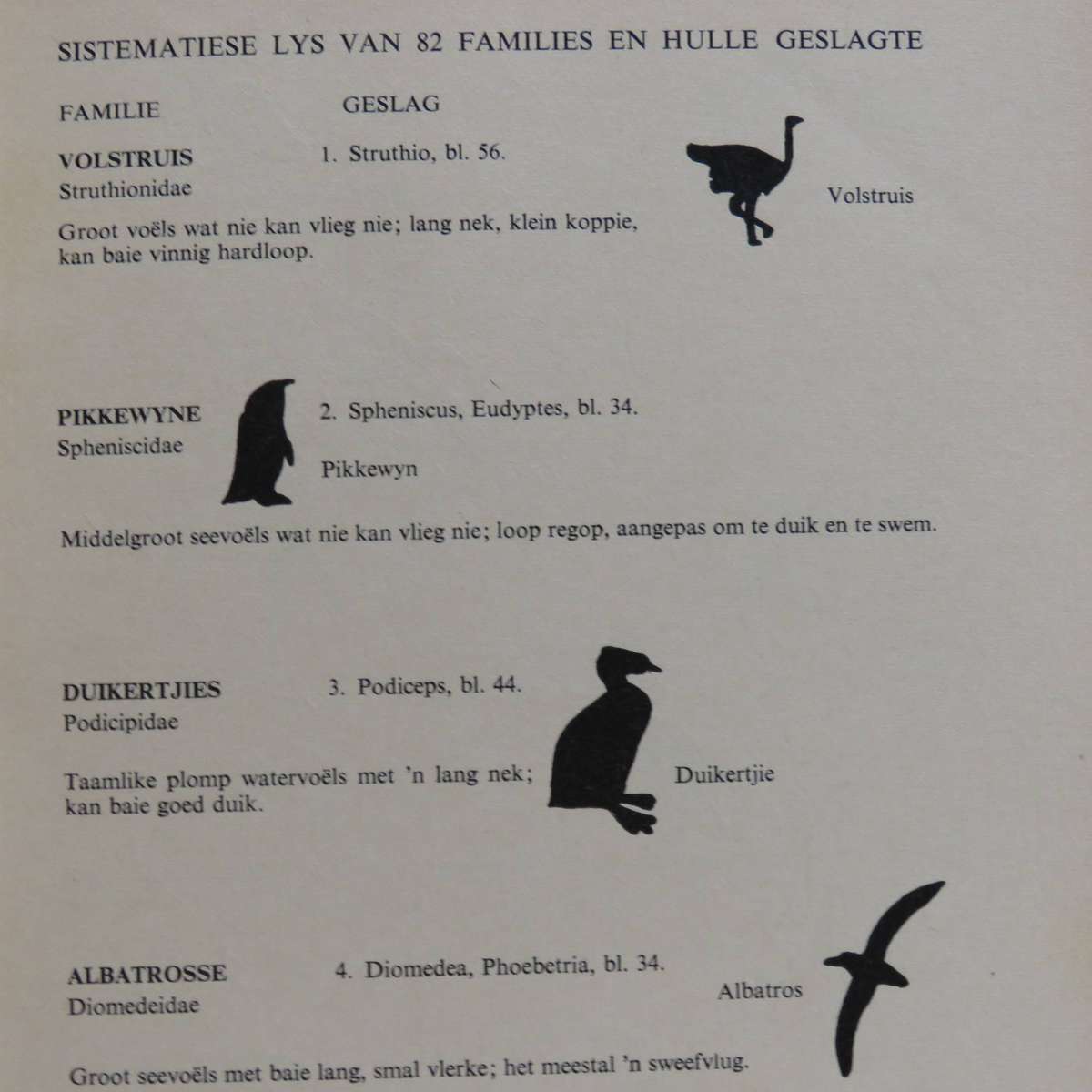 Die Voels rondom ons deur GJ Broekhuysen