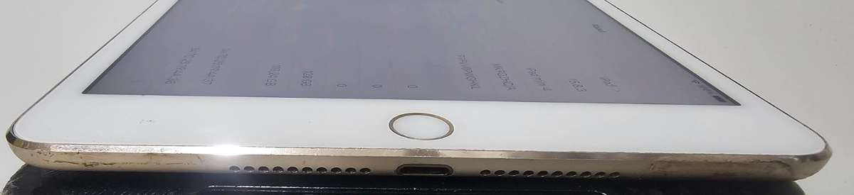 iPad Mini 4  128GB Wi-Fi  Gold  Works Great!