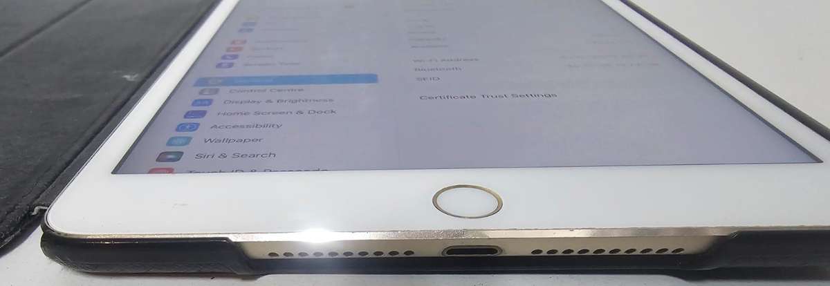 iPad Mini 4  128GB Wi-Fi  Gold  Works Great!