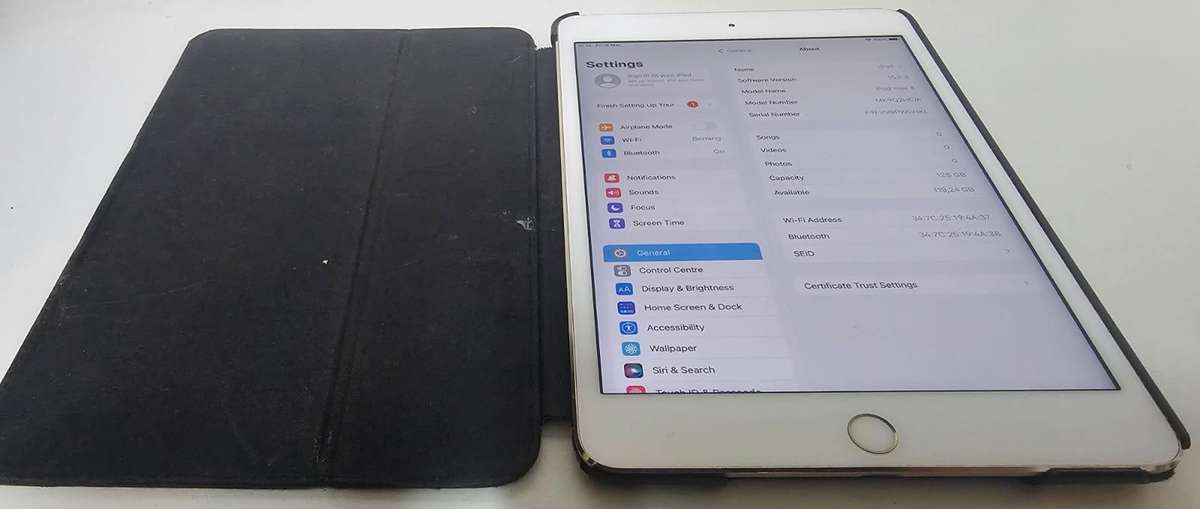 iPad Mini 4  128GB Wi-Fi  Gold  Works Great!