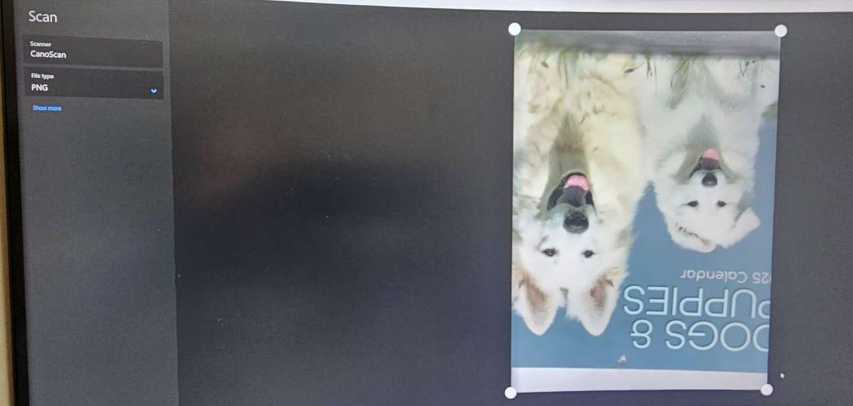 Canon CanoScan LiDE 110 Flatbed Scanner  Fully Working