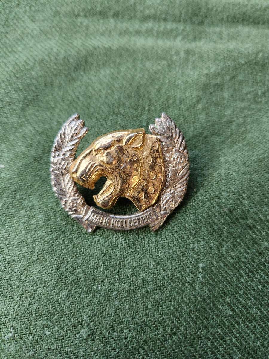 scarce used condition 100% original SADF era Midland Commando bi-metal beret badge both rear screw