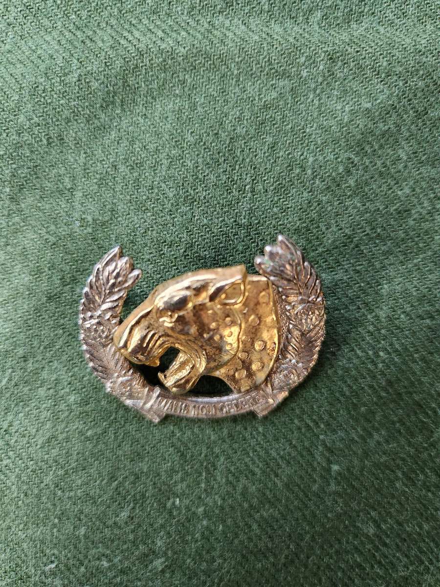 scarce used condition 100% original SADF era Midland Commando bi-metal beret badge both rear screw
