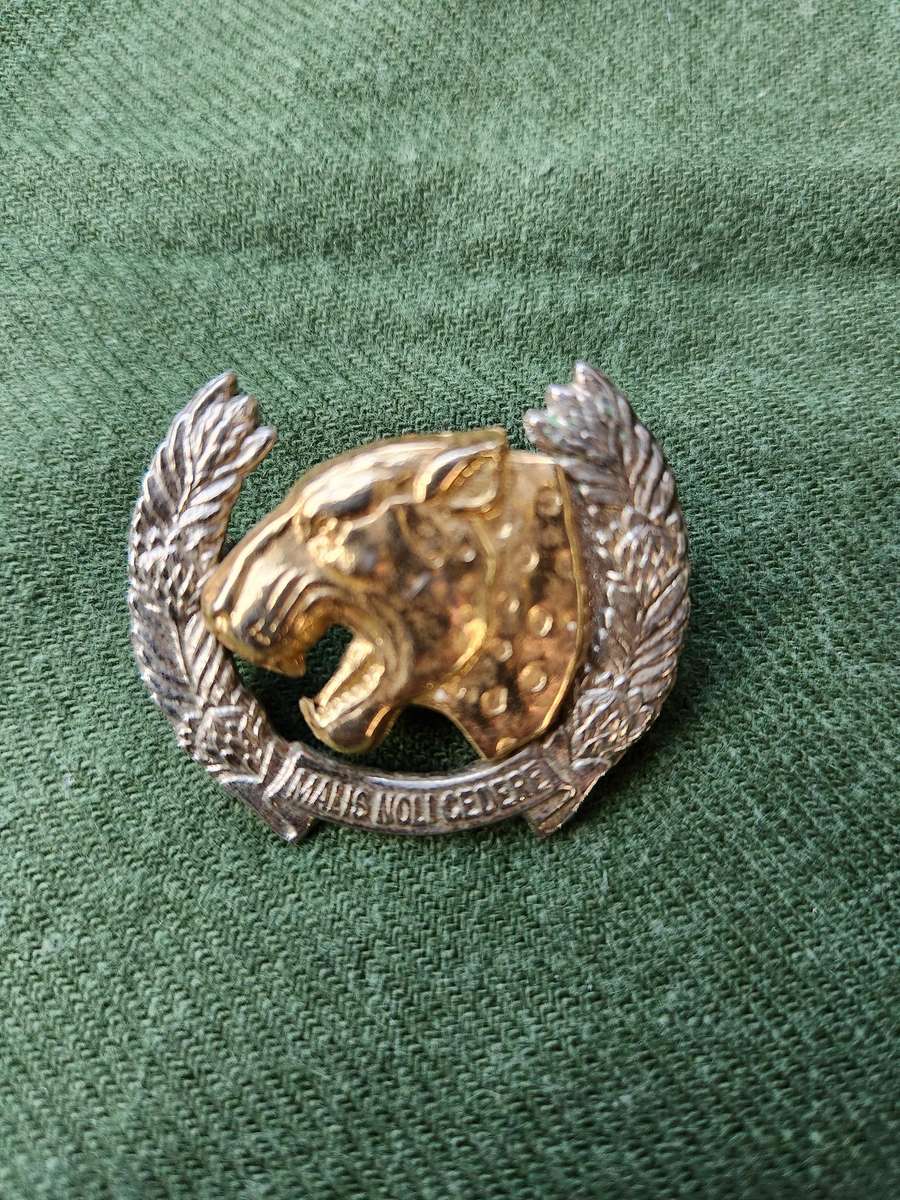 scarce used condition 100% original SADF era Midland Commando bi-metal beret badge both rear screw