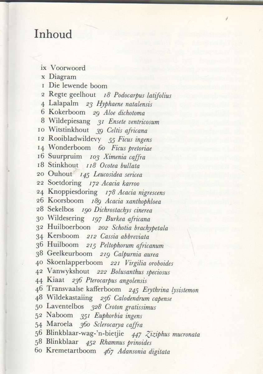 ONS EIE BOOMBOEK - CYTHNA LETTY (1 STE UITGAWE 1980)