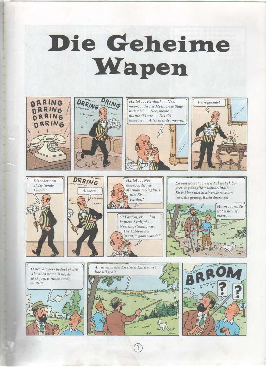 DIE AVONTURE VAN KUIFIE : DIE GEHEIME WAPEN - NERINA FERREIRA (1 STE AFRIKAANSE UITGAWE 1973)