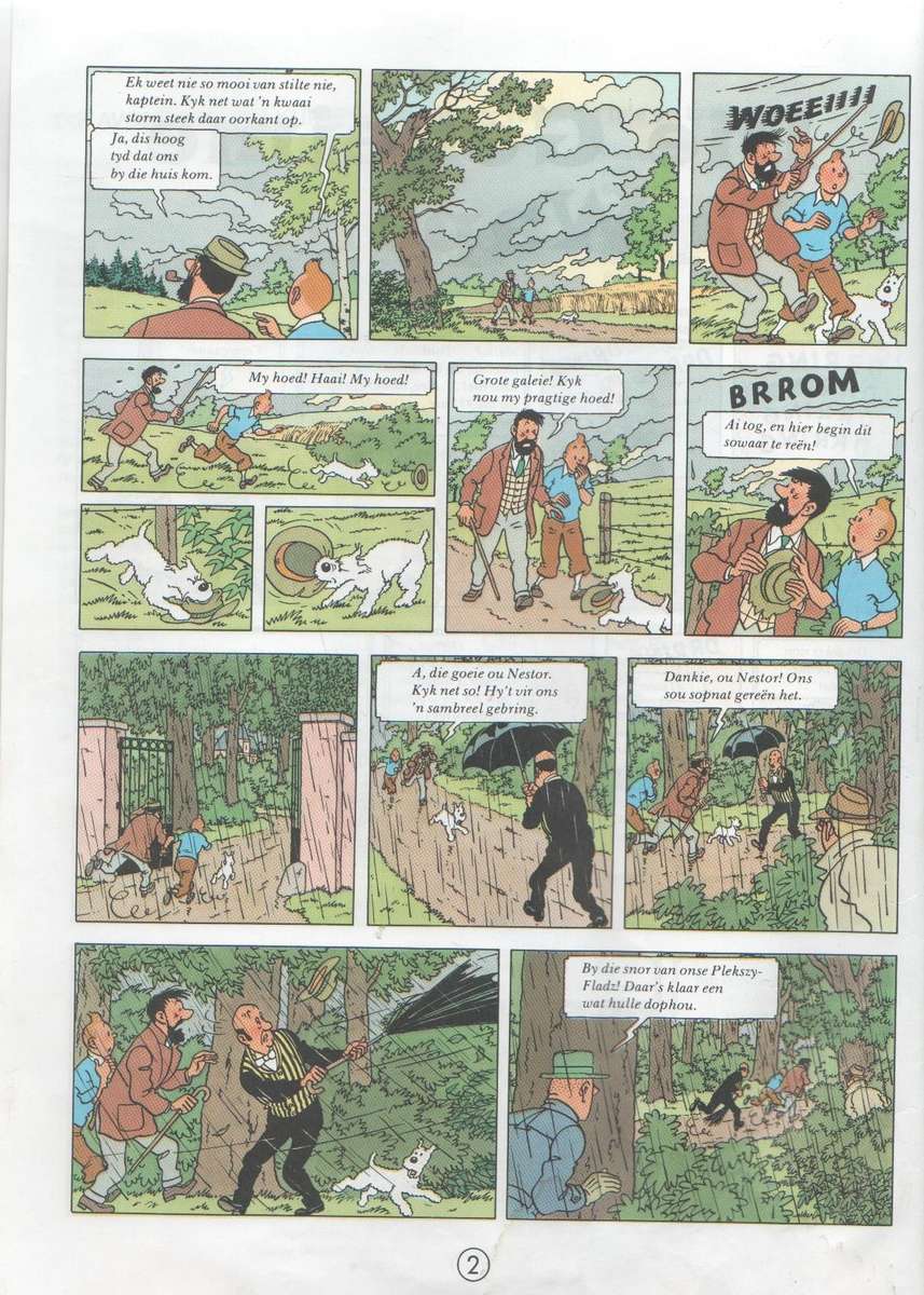 DIE AVONTURE VAN KUIFIE : DIE GEHEIME WAPEN - NERINA FERREIRA (1 STE AFRIKAANSE UITGAWE 1973)