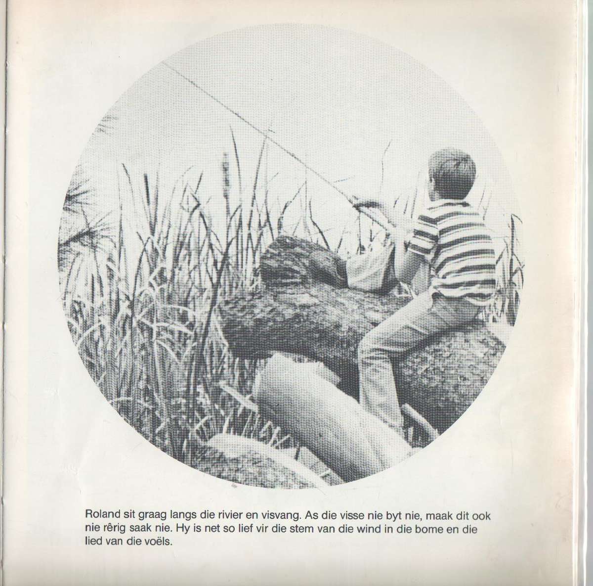 DIE SOMER VAN DIE JAGLUIPERD - PIETER W GROBBELAAR (1 SE UITGAWE 1980)