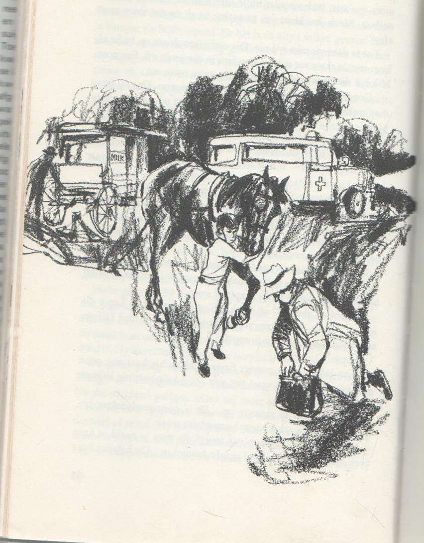 PERD UIT DIE STORM - MEINDERT DE JONG (1 STE DRUK 1971) JEUGVERHAAL