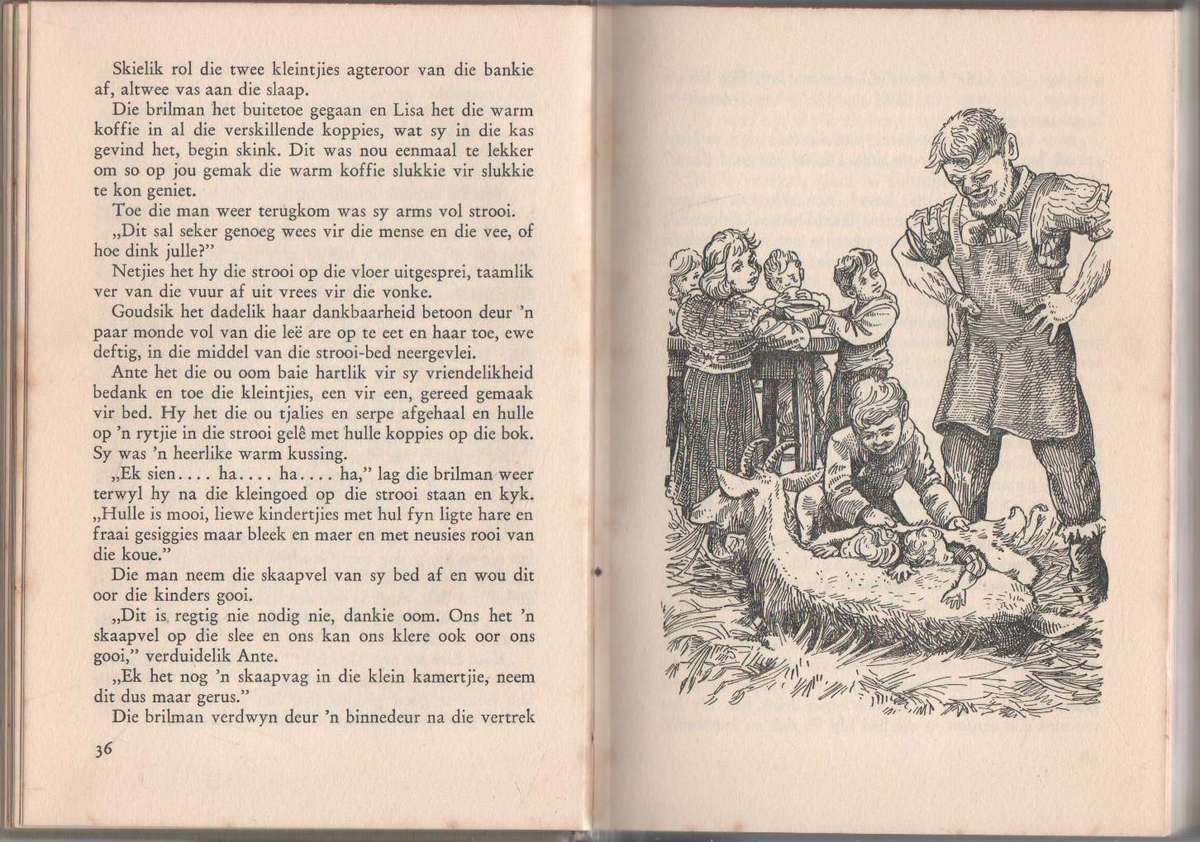 DIE KINDERS VAN DIE GROOT SNEEUVELD - LAURA FITINGHOFF (1953) AFRIKAANS VERTAAL DEUR SG MEIRING