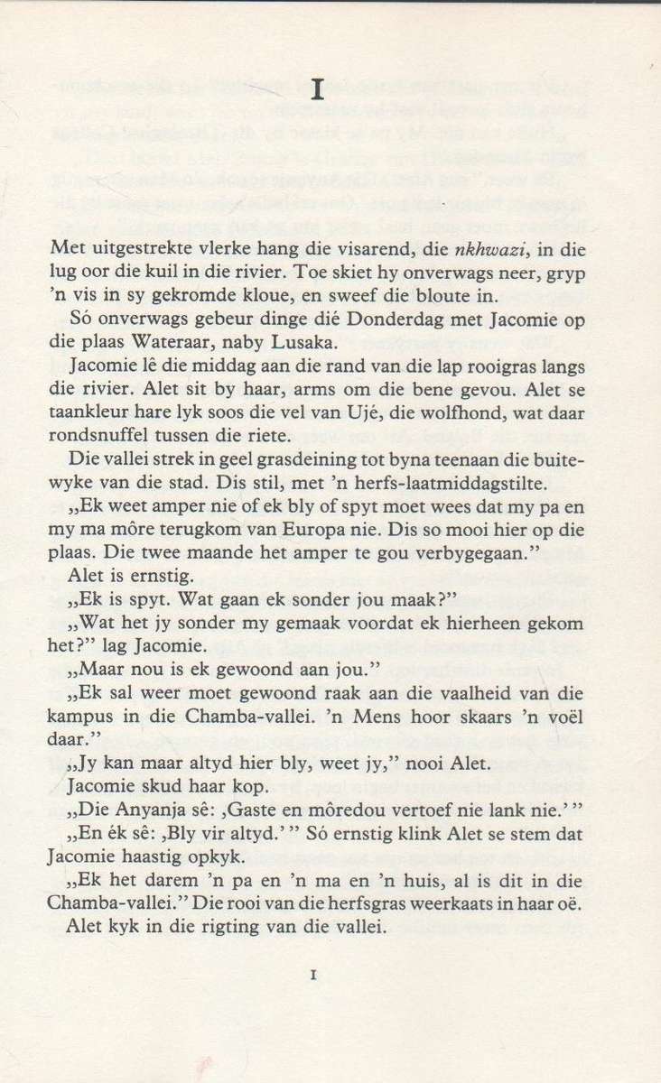 DWARS-IN-DIE-WEG - HESTER HEESE (1 STE UITGAWE 1979)