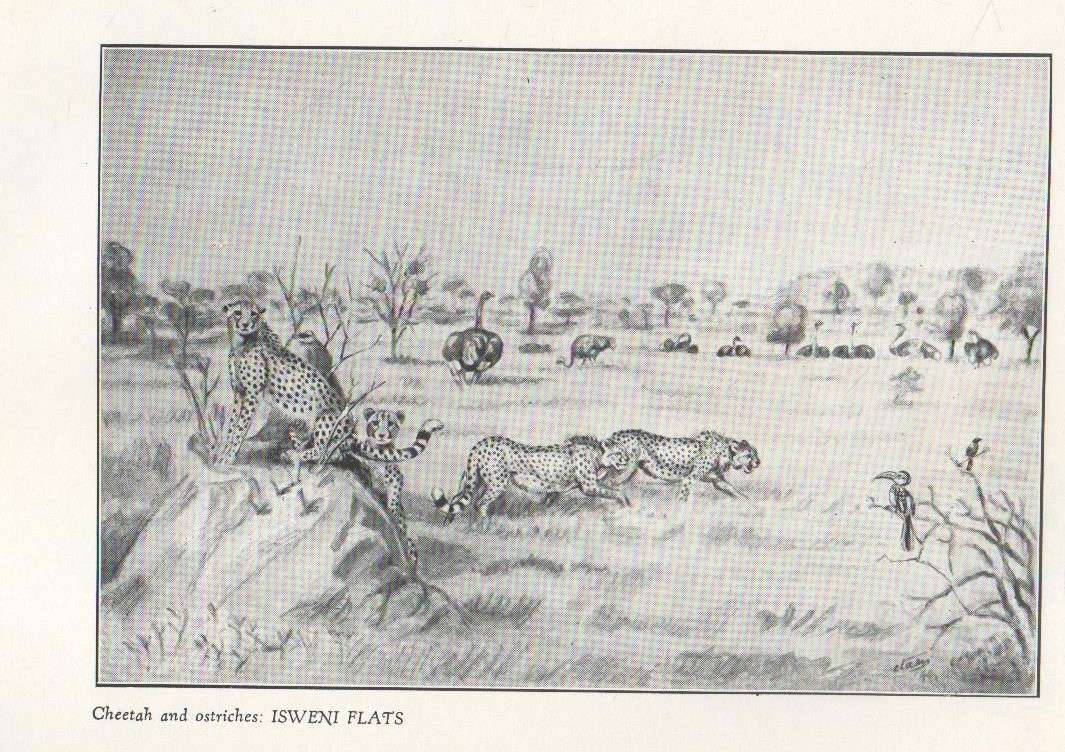 MEMORIES OF A GAME RANGER - HARRY WOLHUTER (FOREWORD 1948)