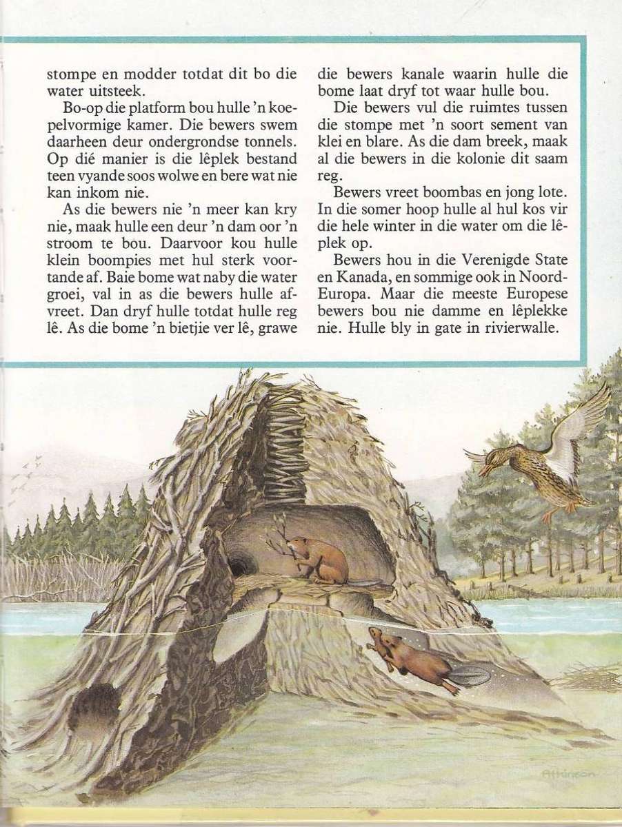 DIERE SE WONINGS - J P VAN DER WALT EN SEUN (KALEIDOSKOOP-BOEKE)