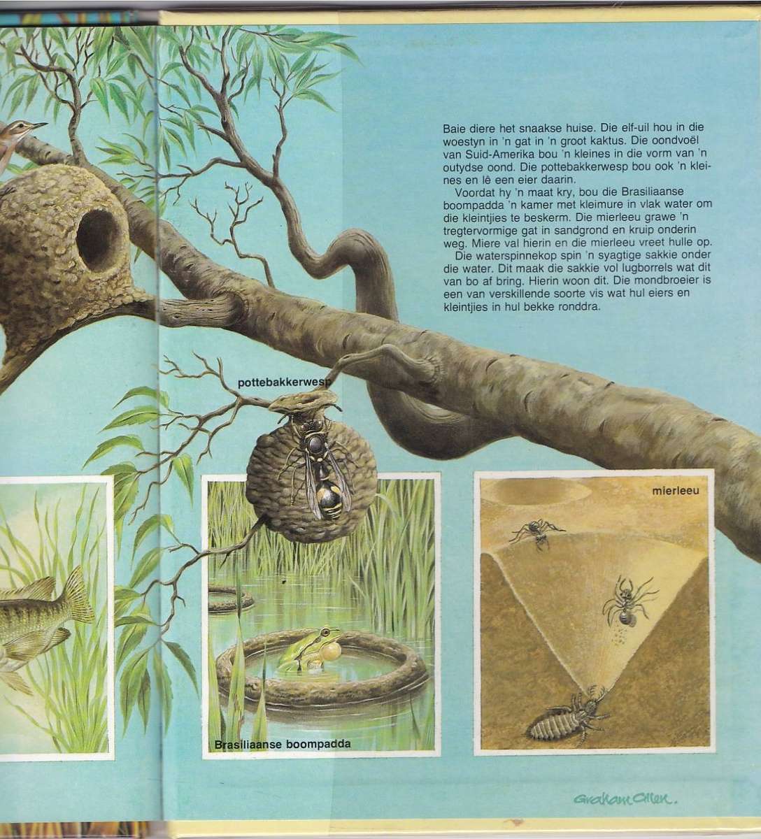 DIERE SE WONINGS - J P VAN DER WALT EN SEUN (KALEIDOSKOOP-BOEKE)