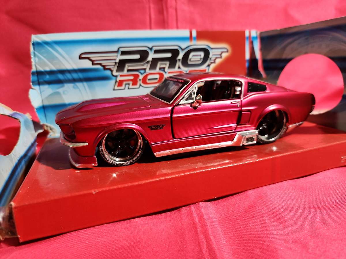 Ford Custom Mustang 1:24