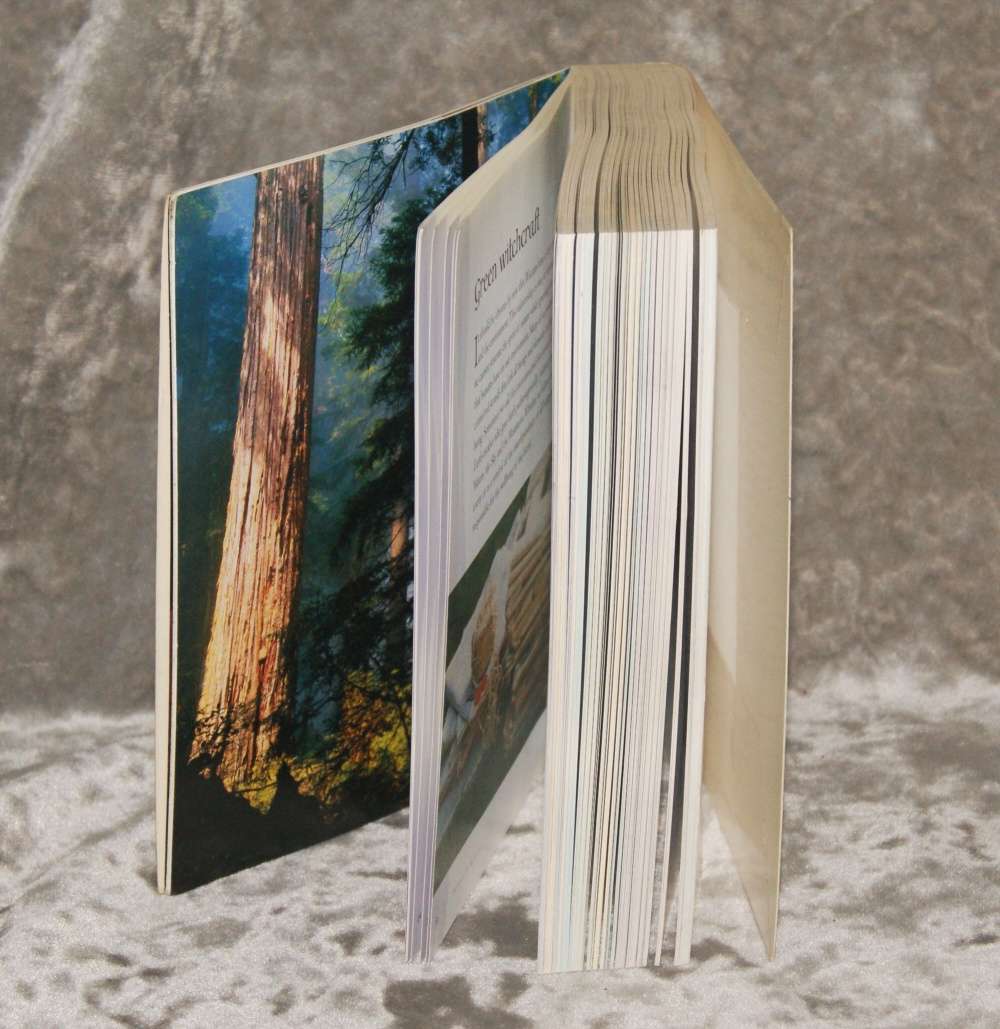 "The Wicca Bible" by Ann-Marie Gallagher