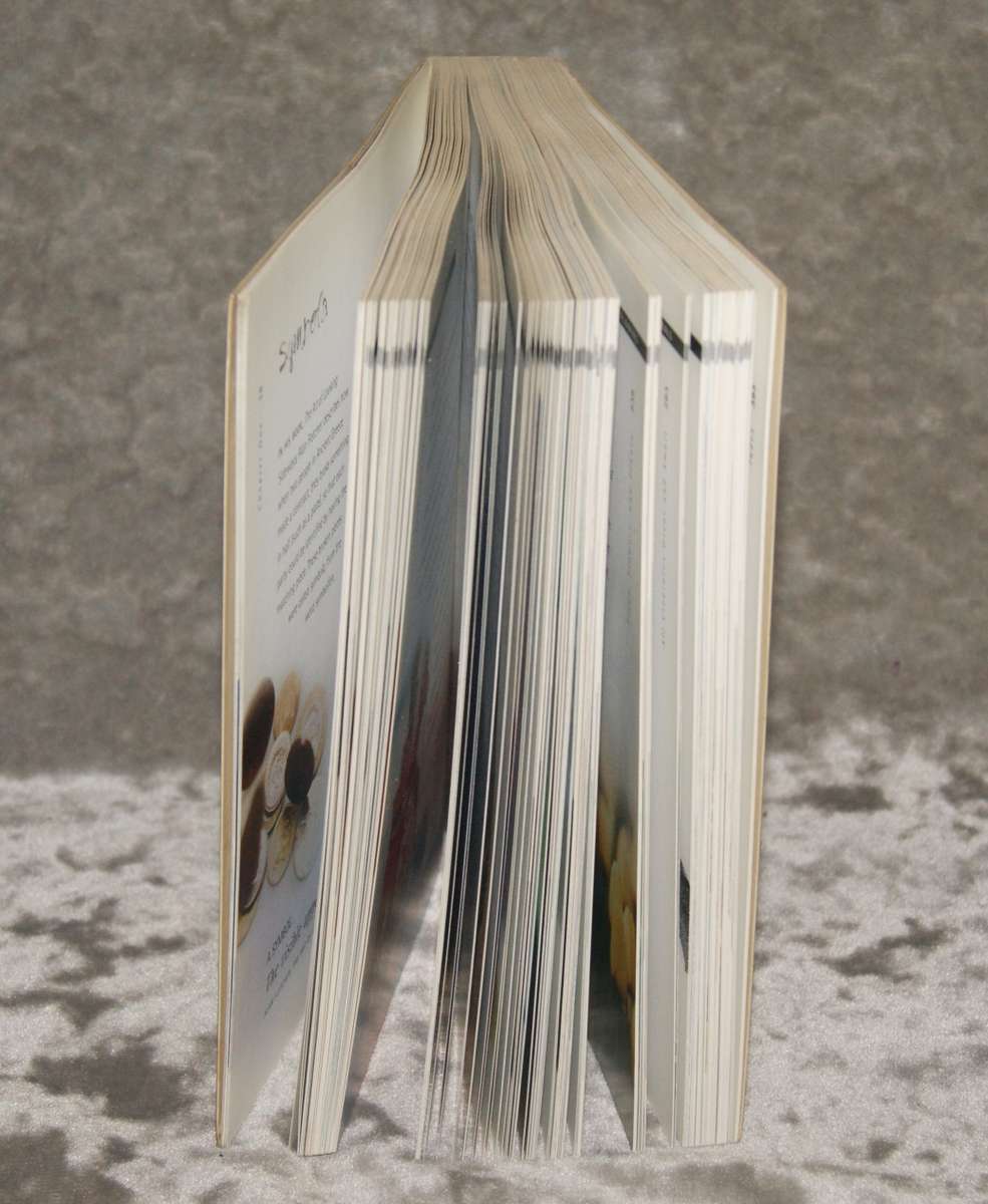 "The Dream Bible" by Brenda Mallon