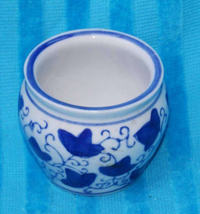 Blue and White Chinese Vase