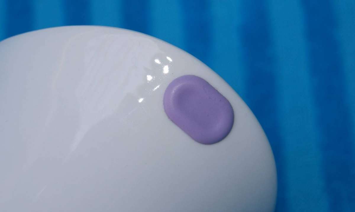 Porcelain Sauce Dish with Lid