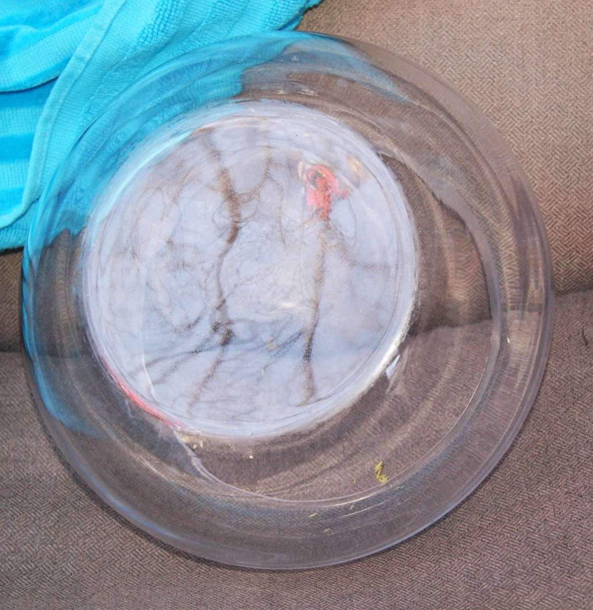 Glass Rosebowl