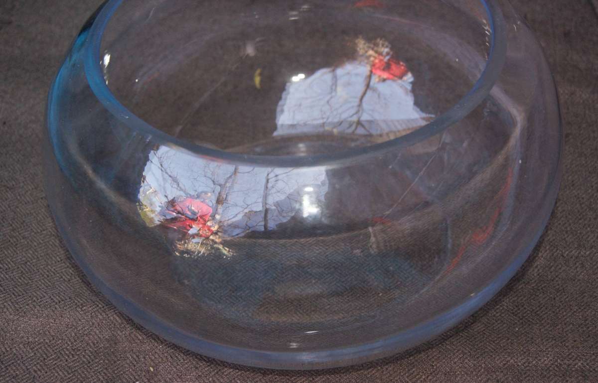 Glass Rosebowl