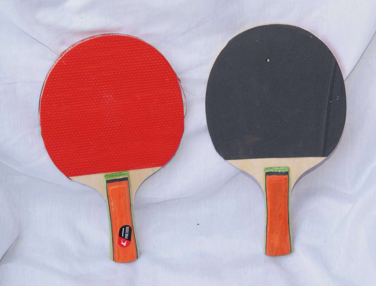 Pair of Fei Xue Table Tennis Rackets