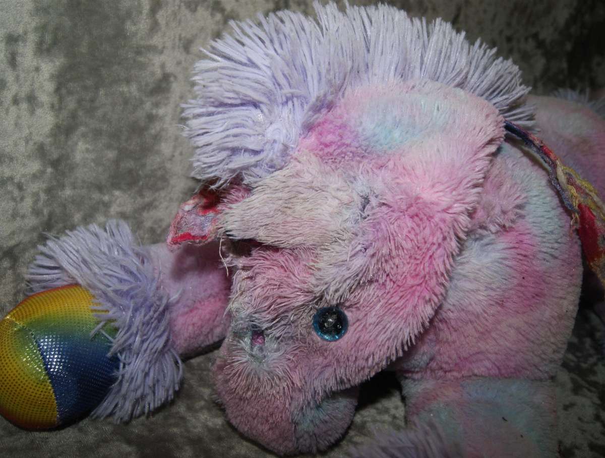 Plush unicorn @ Crazy R1 start