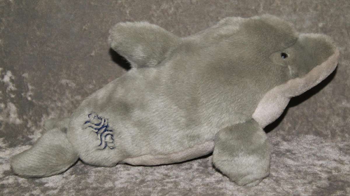 Plush dolphin @ Crazy R1 start