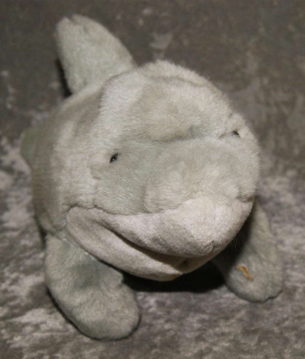 Plush dolphin @ Crazy R1 start